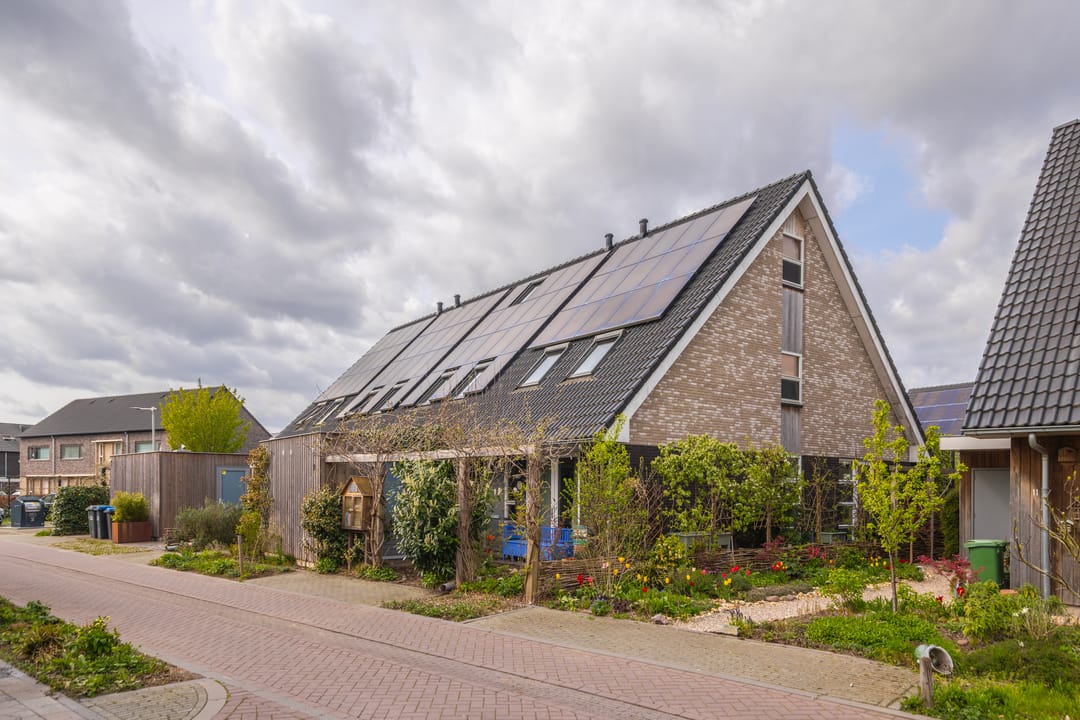 Foto 1 van Dijkkruin 9