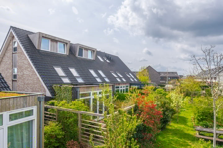 Foto 4 van Dijkkruin 9