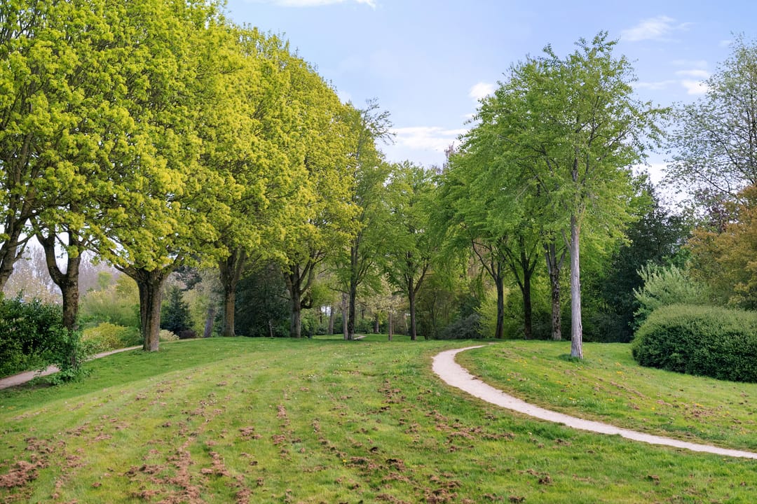 Foto 53 van Langstraat 66