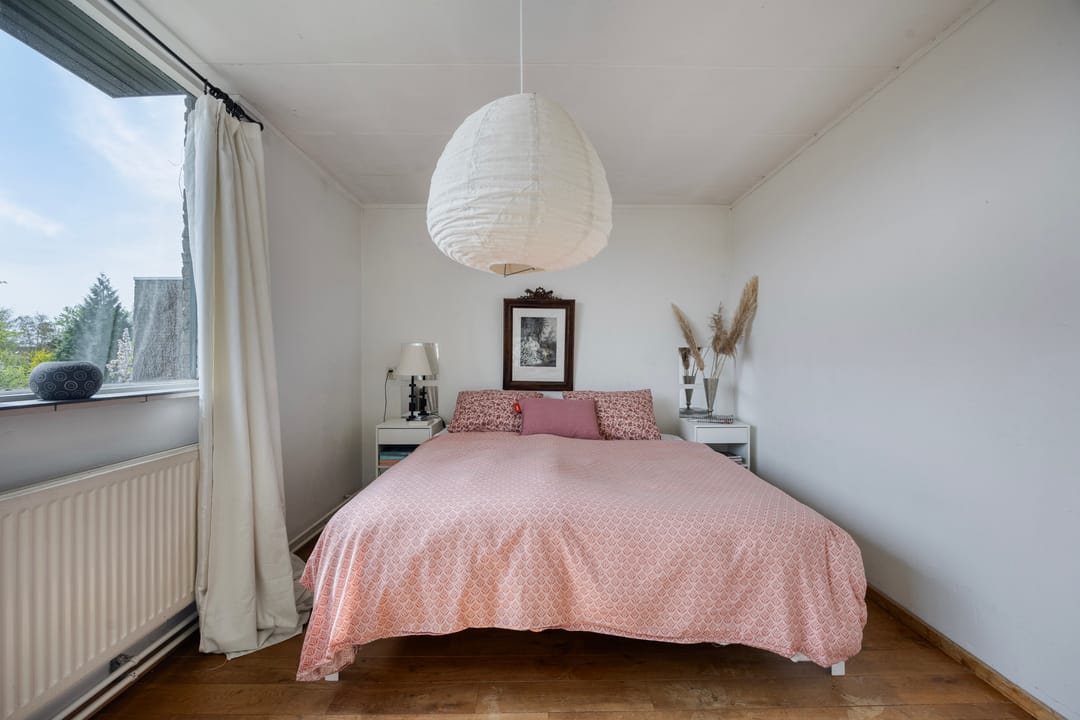 Foto 22 van Boksdoorn 3