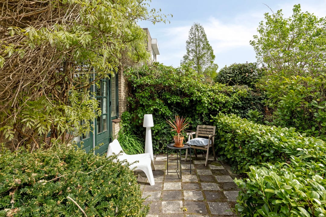 Foto 31 van Boksdoorn 3