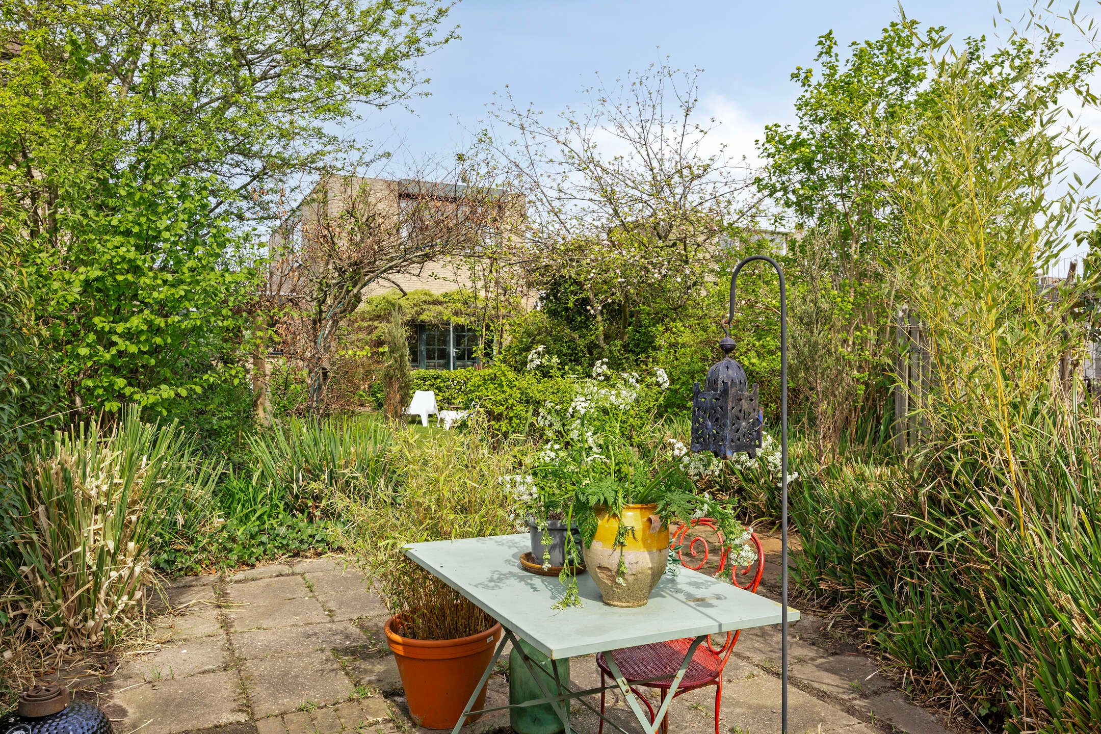 Foto 33 van Boksdoorn 3