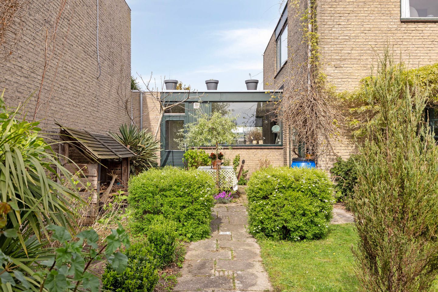 Foto 34 van Boksdoorn 3