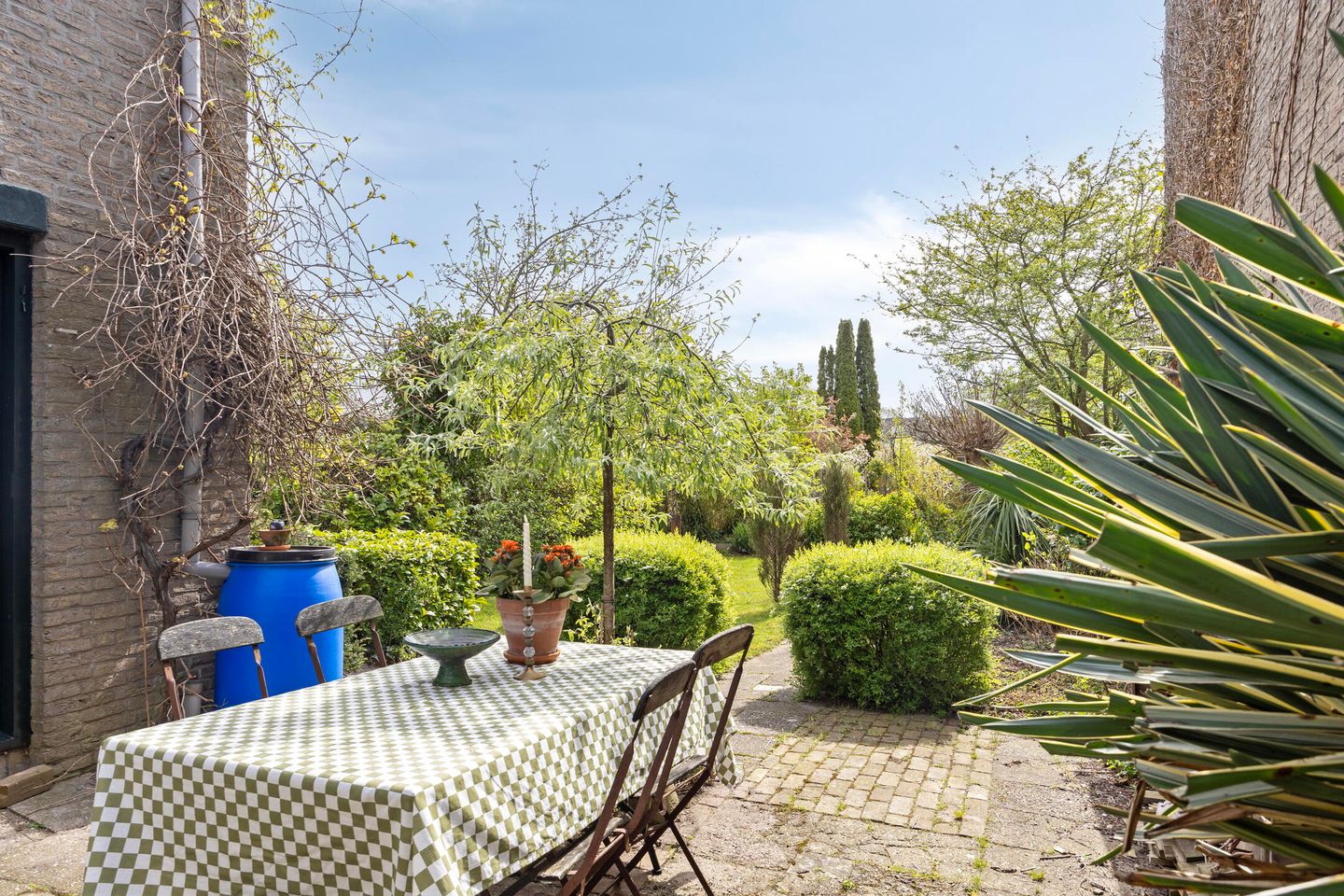 Foto 35 van Boksdoorn 3