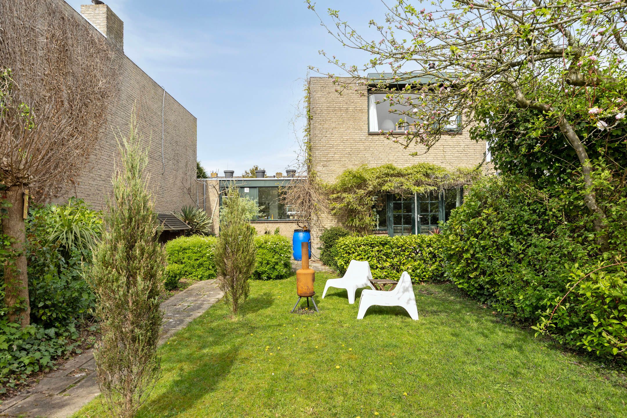 Foto 36 van Boksdoorn 3