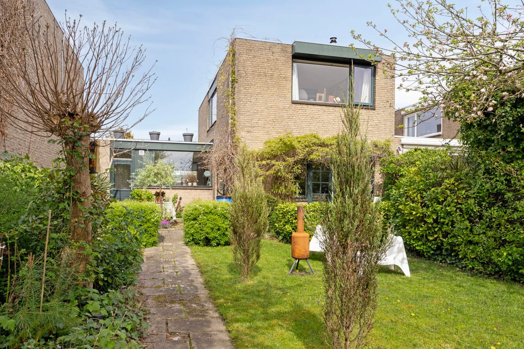 Foto 37 van Boksdoorn 3