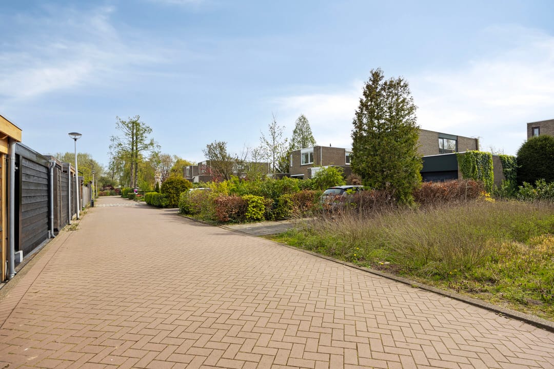 Foto 41 van Boksdoorn 3