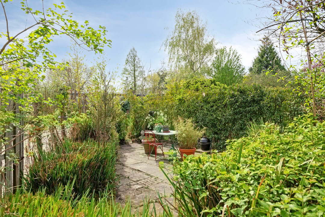 Foto 32 van Boksdoorn 3