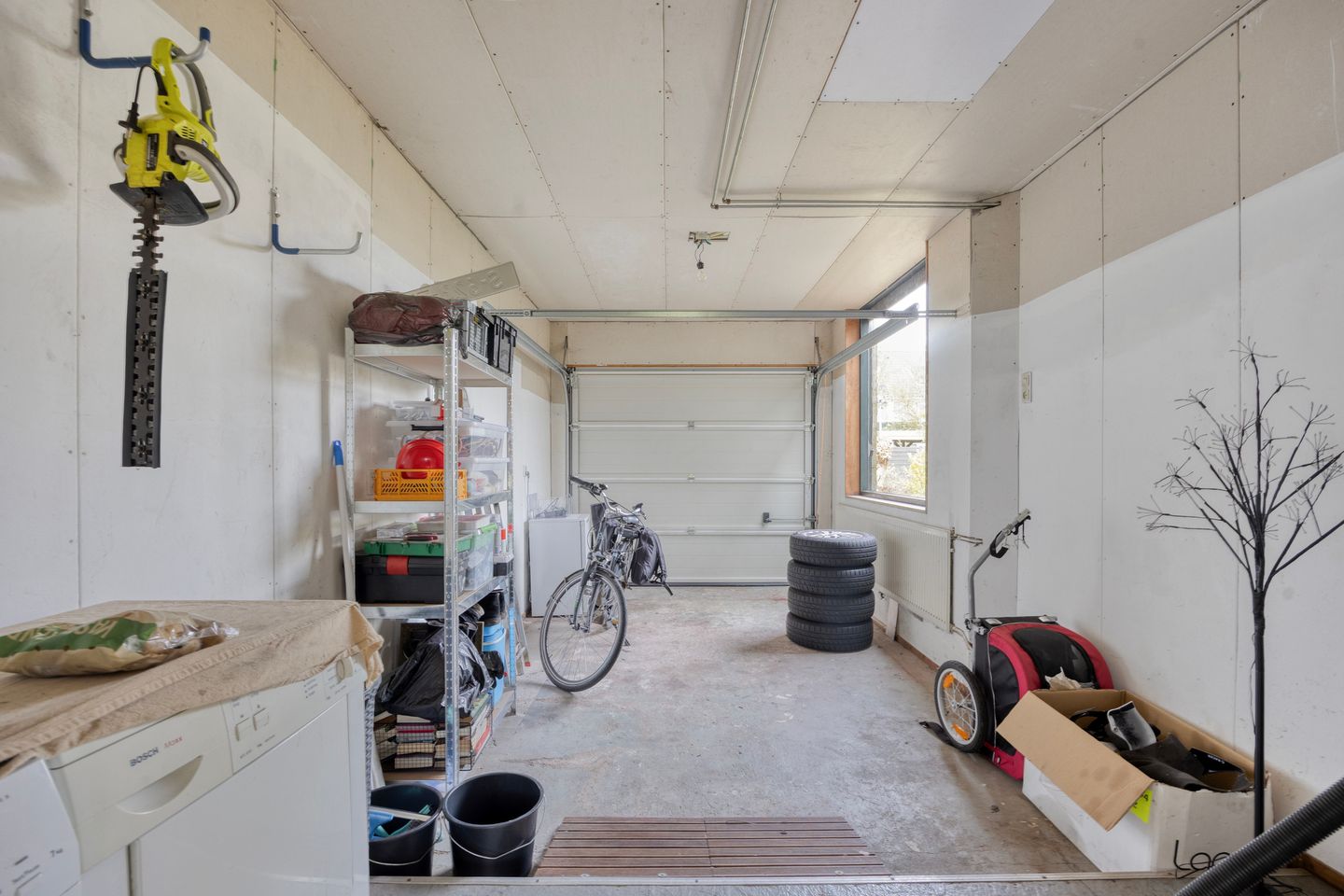 Foto 19 van Boksdoorn 3