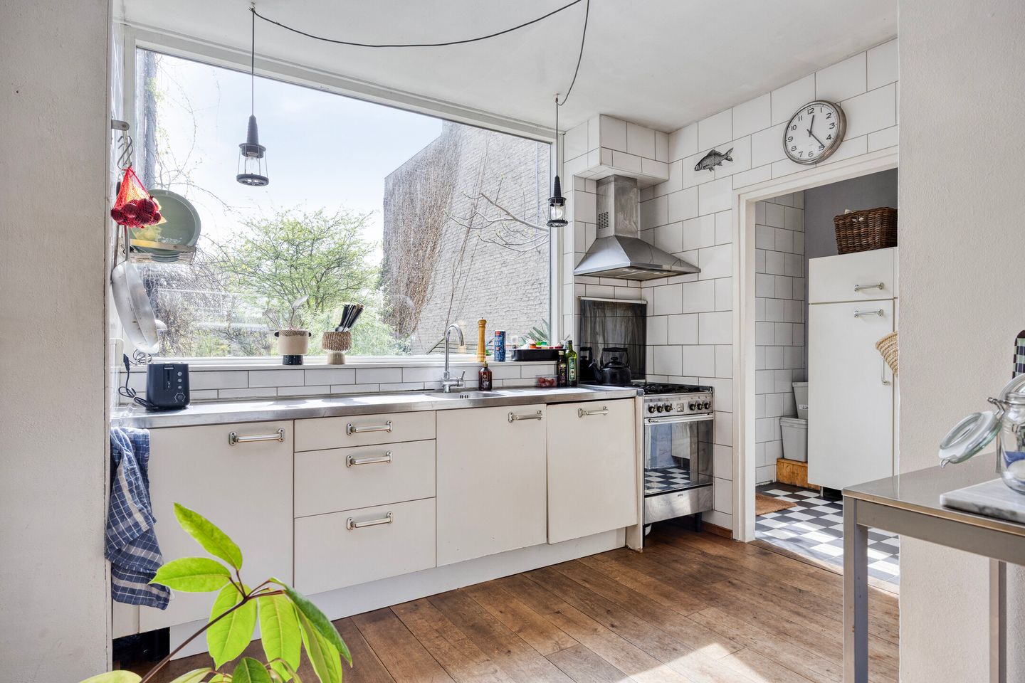 Foto 14 van Boksdoorn 3