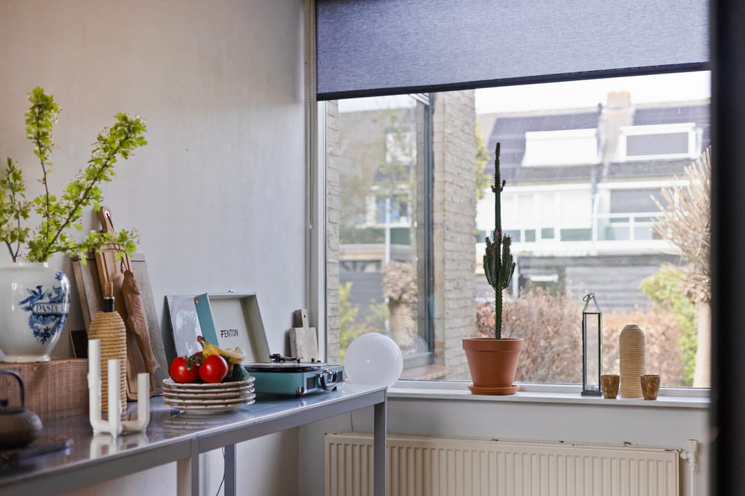 Foto 8 van Boksdoorn 3