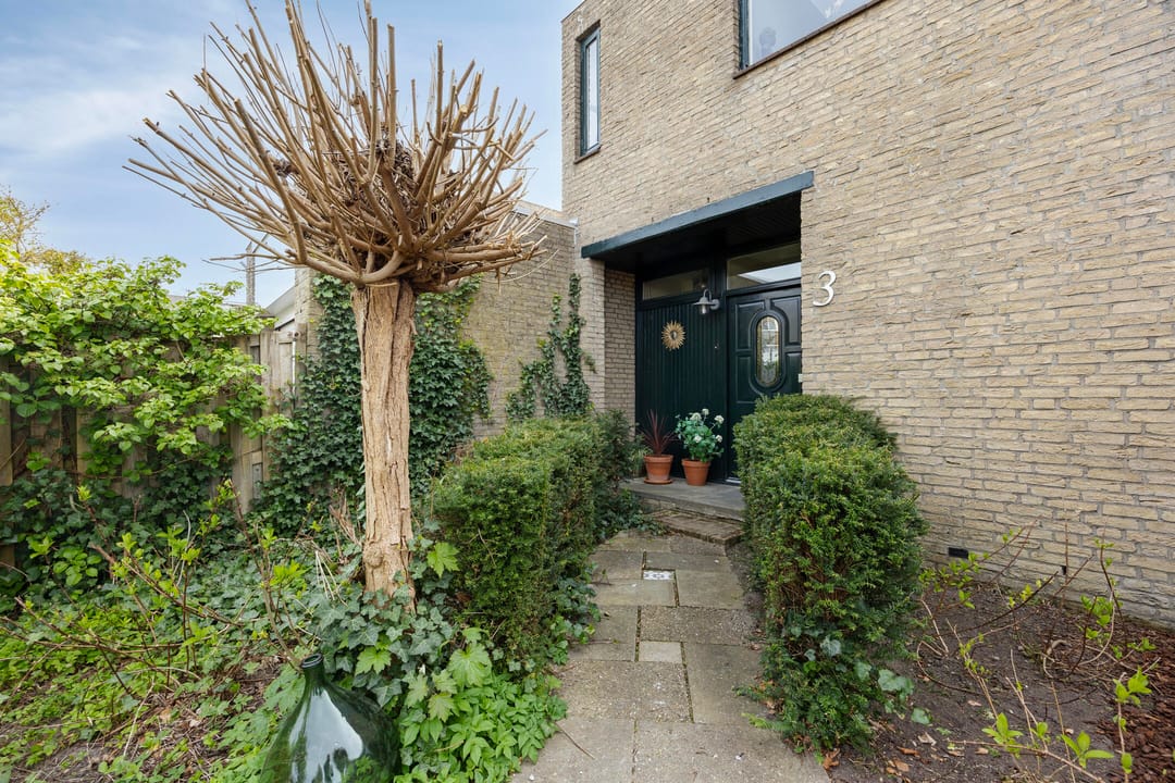 Foto 38 van Boksdoorn 3