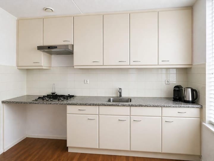 Foto 4 van Hermelijnvlinder 85