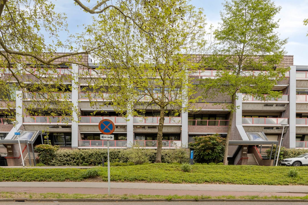 Foto 1 van Borchmolen 64