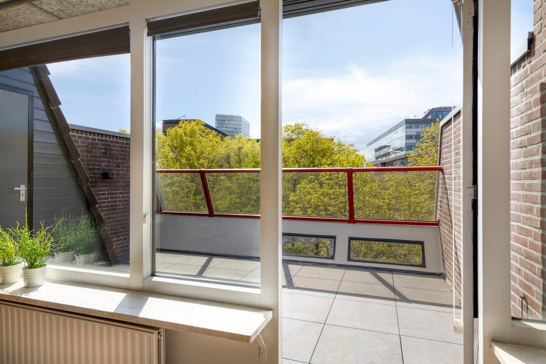 Foto 31 van Borchmolen 64