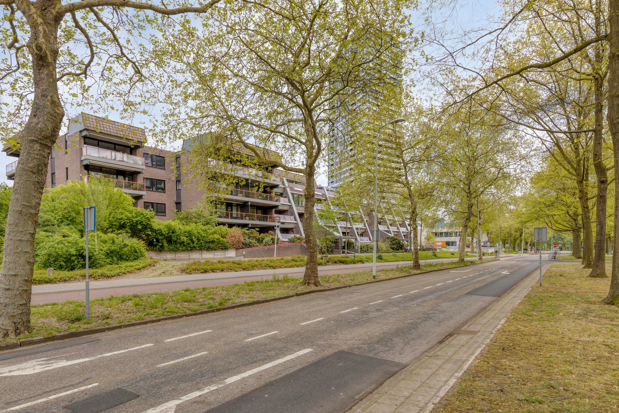 Foto 6 van Borchmolen 64