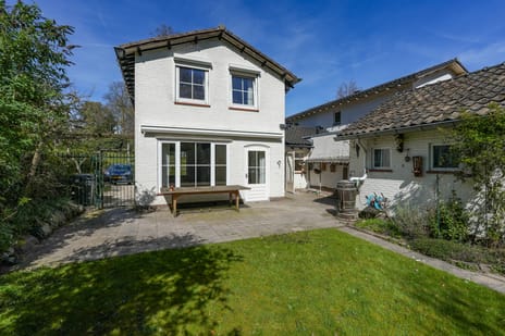 undefined main image