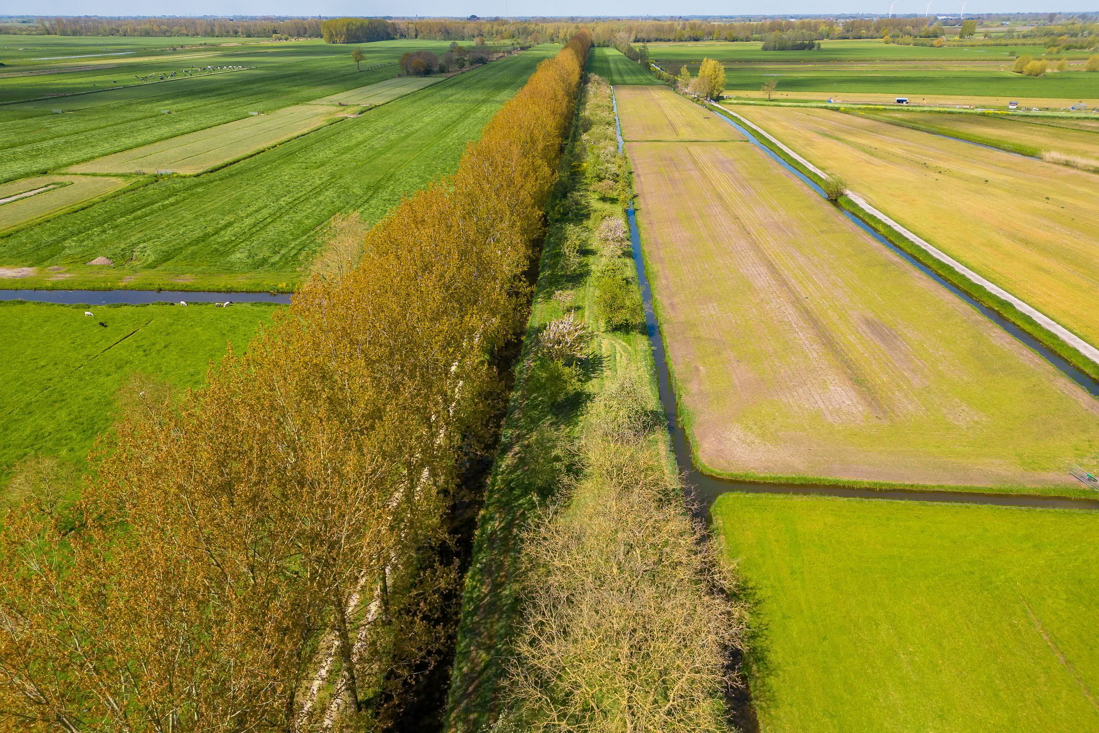 Photo 63 of Driemolensweg 4