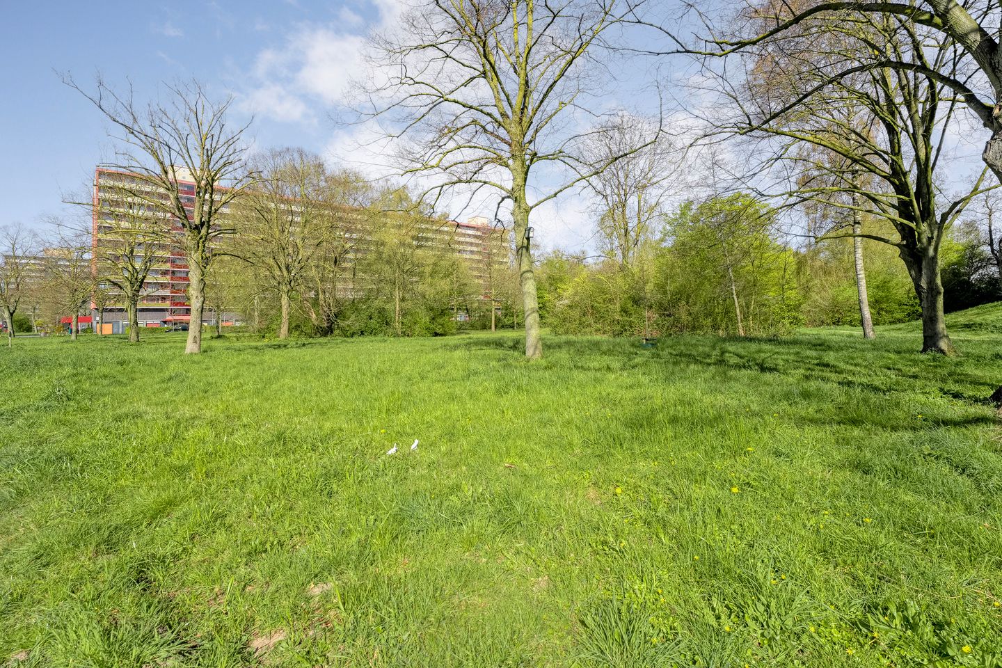 Photo 5 of Palestrinalaan 122