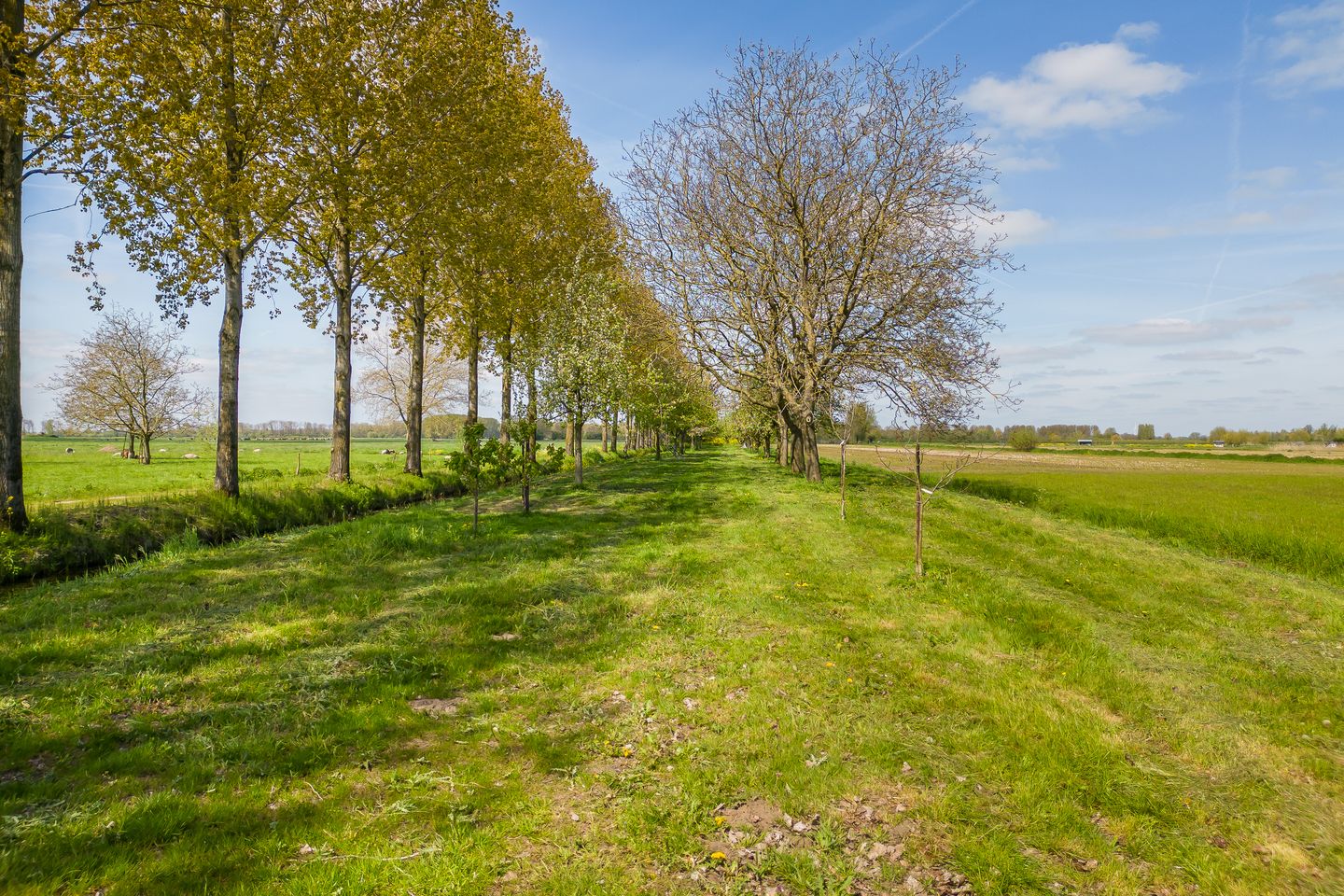 Photo 64 of Driemolensweg 4