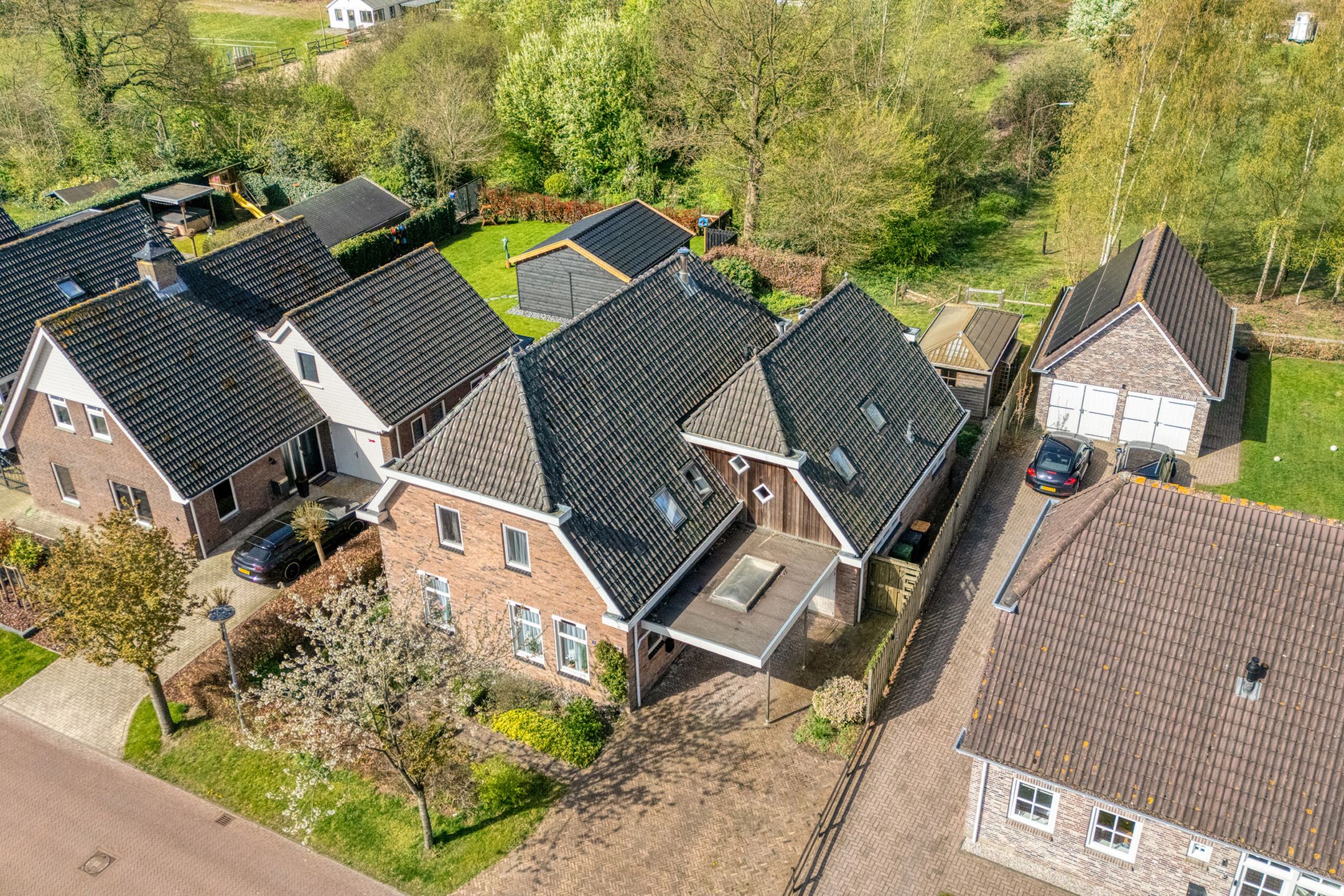 Foto 6 van Sepiepenakkers 4