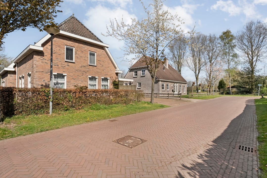 Foto 7 van Sepiepenakkers 4