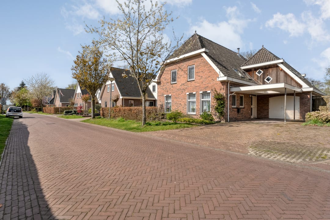 Foto 8 van Sepiepenakkers 4