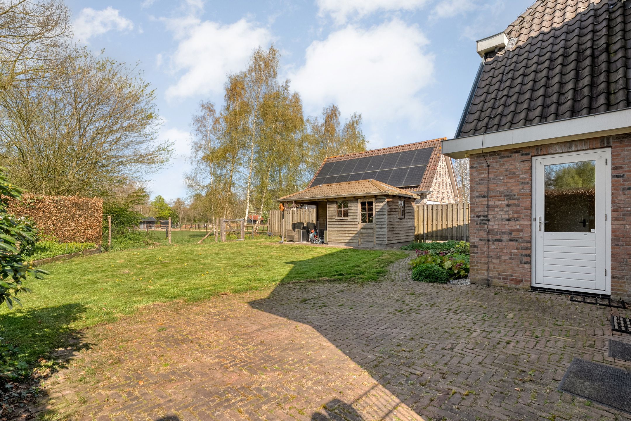 Foto 51 van Sepiepenakkers 4