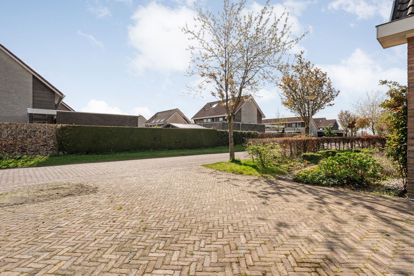 Foto 10 van Sepiepenakkers 4