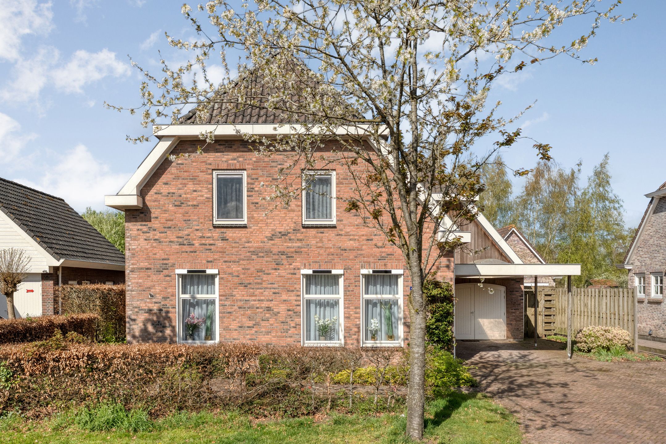 Foto 9 van Sepiepenakkers 4