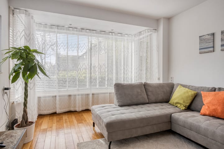 Photo 4 of Berkenpad 1