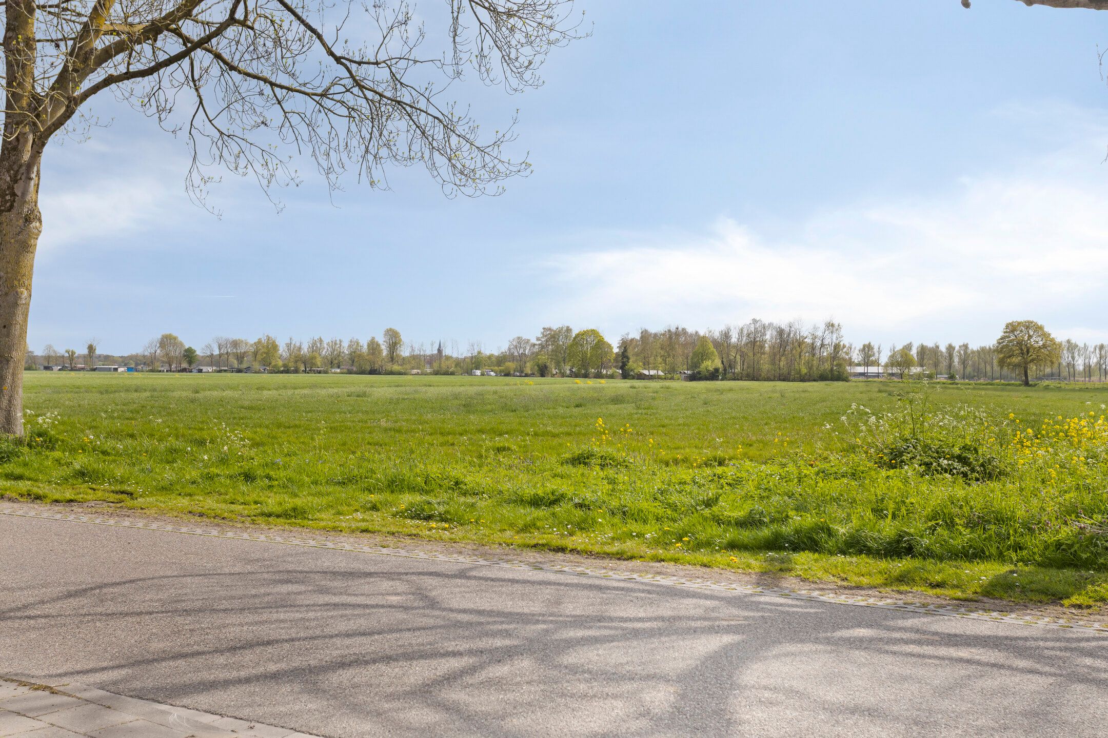 Foto 45 van Wijksestraat 5