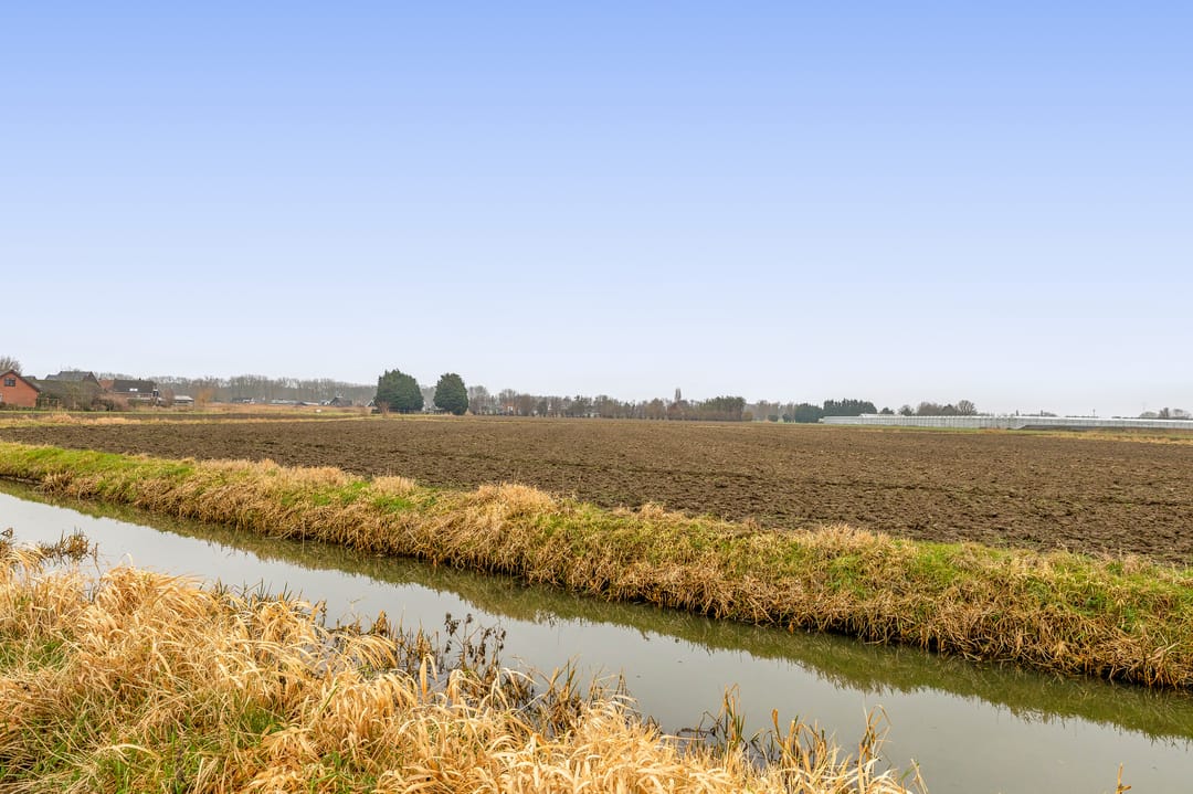 Foto 37 van Waalstraat 19