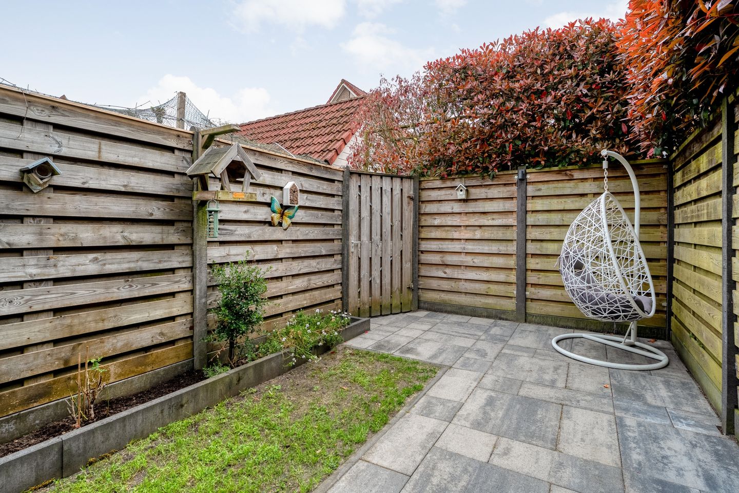 Foto 40 van Klaproos 4