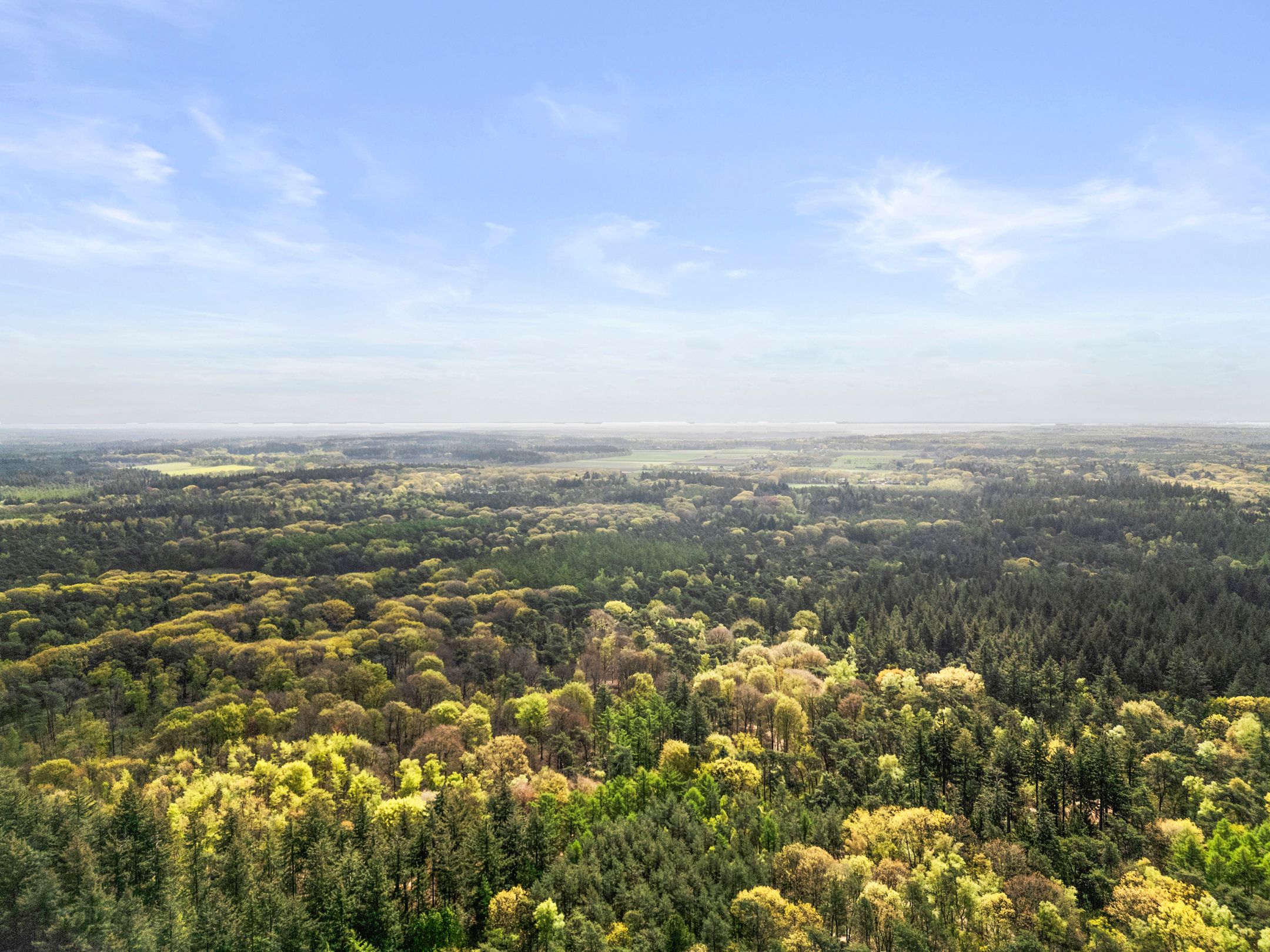 Foto 3 van Hessenweg 83-59