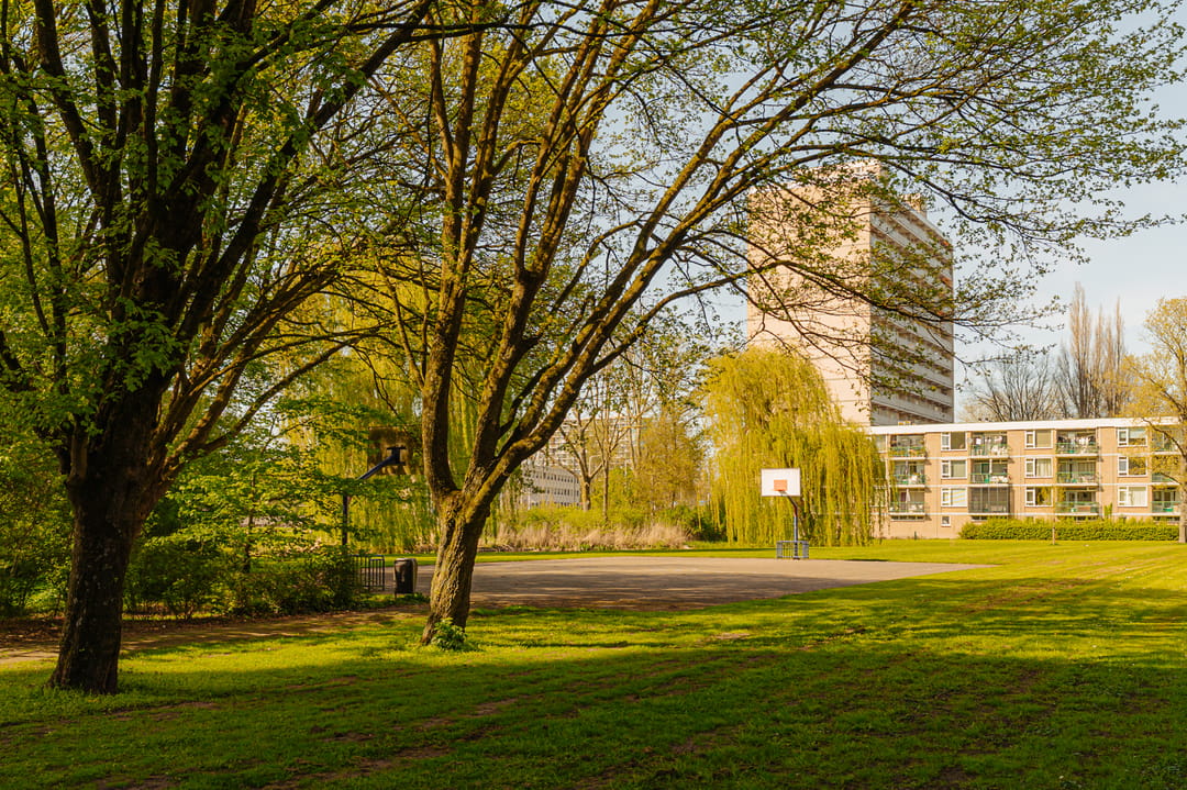 Foto 37 van Westelijk Halfrond 179