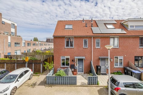 undefined main image