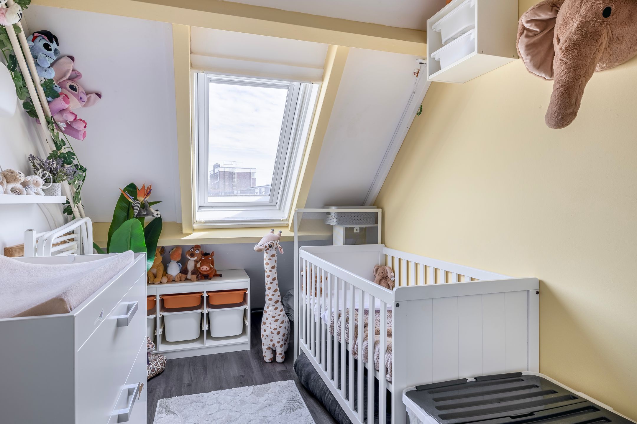 Foto 33 van Maagd 10