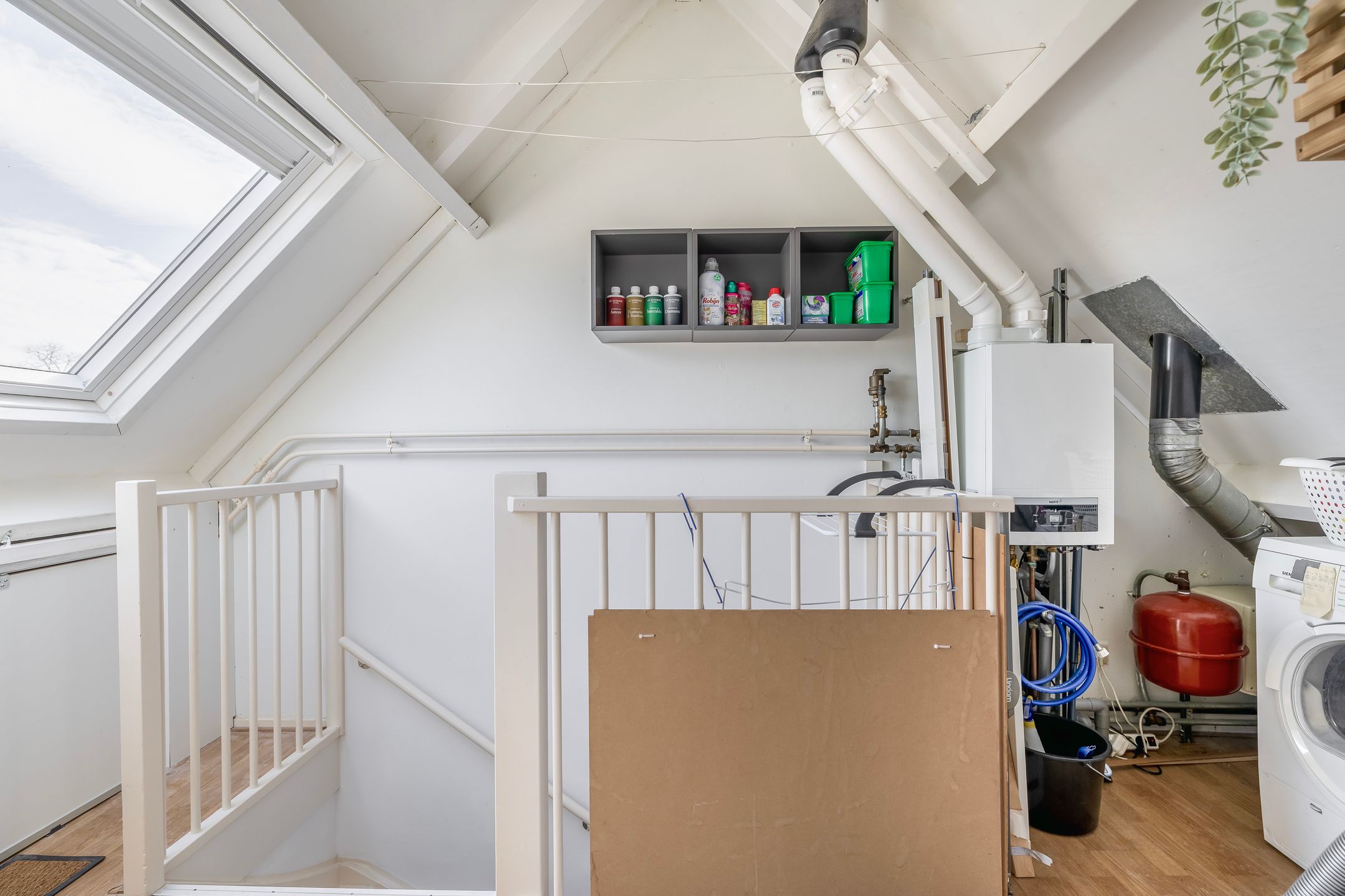 Foto 36 van Maagd 10