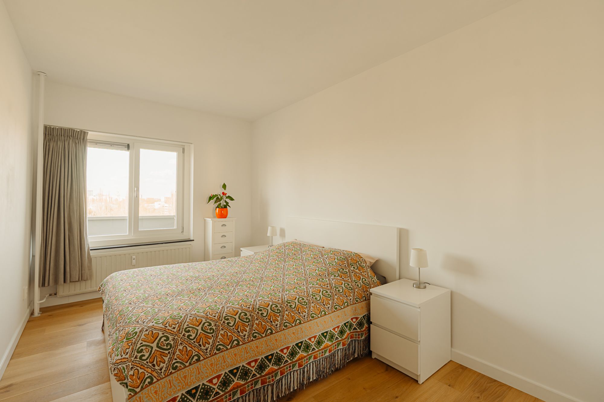 Foto 21 van Westelijk Halfrond 179