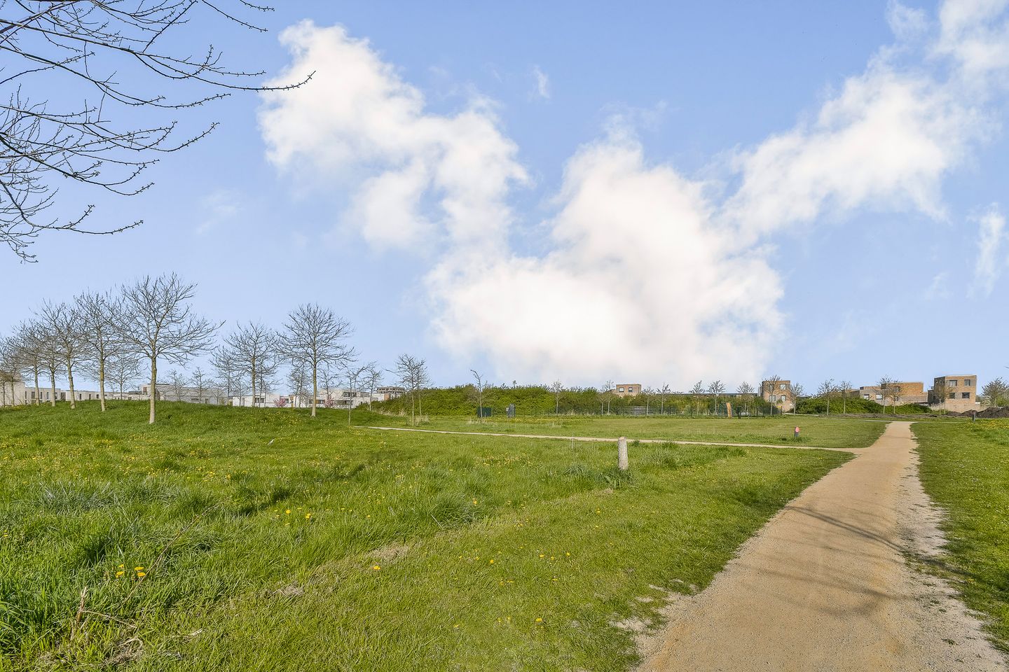 Photo 19 of Dotterbloemhof 17