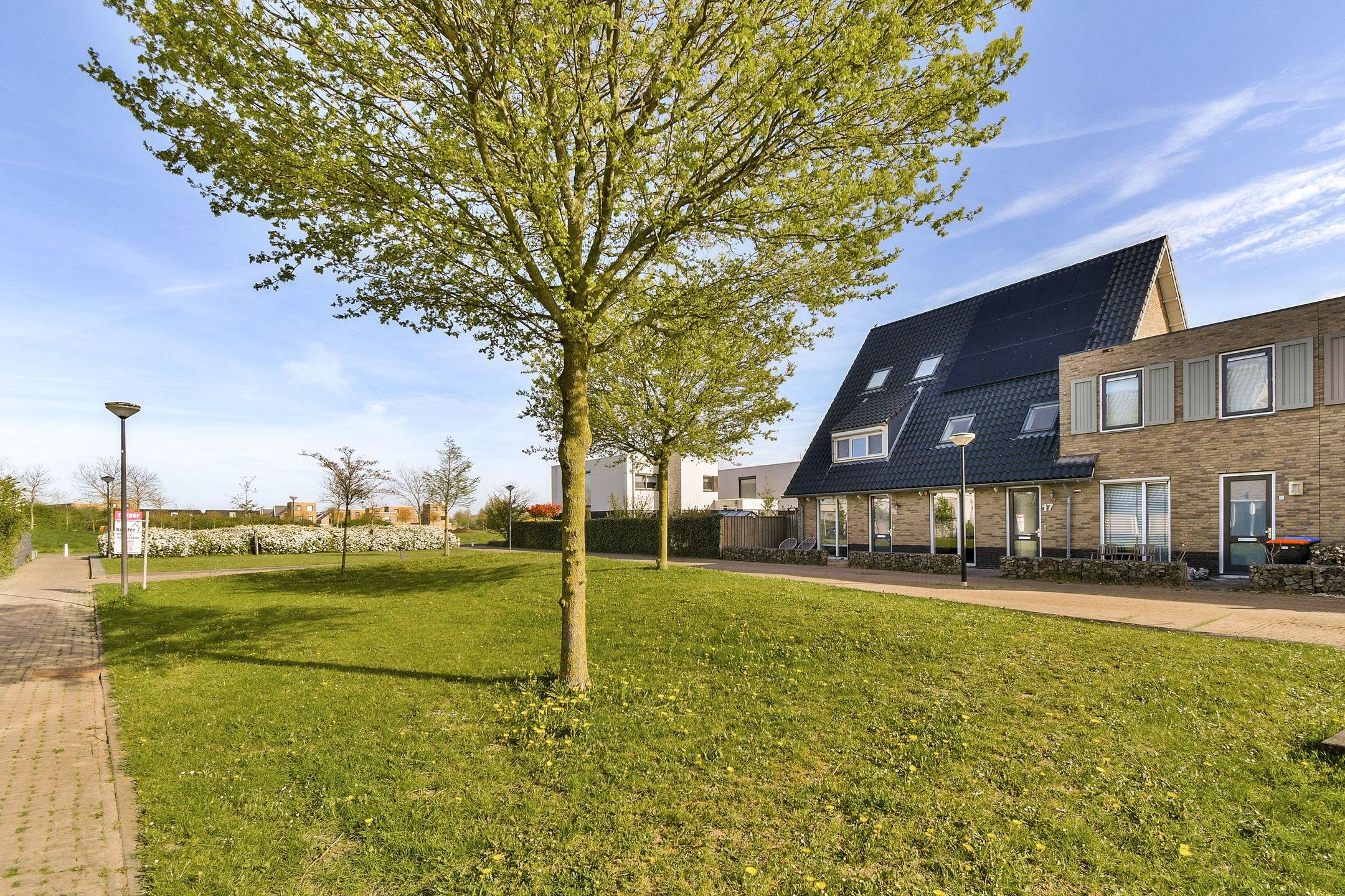 Photo 3 of Dotterbloemhof 17