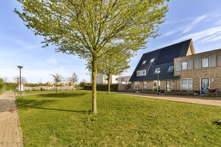 Photo 3 of Dotterbloemhof 17