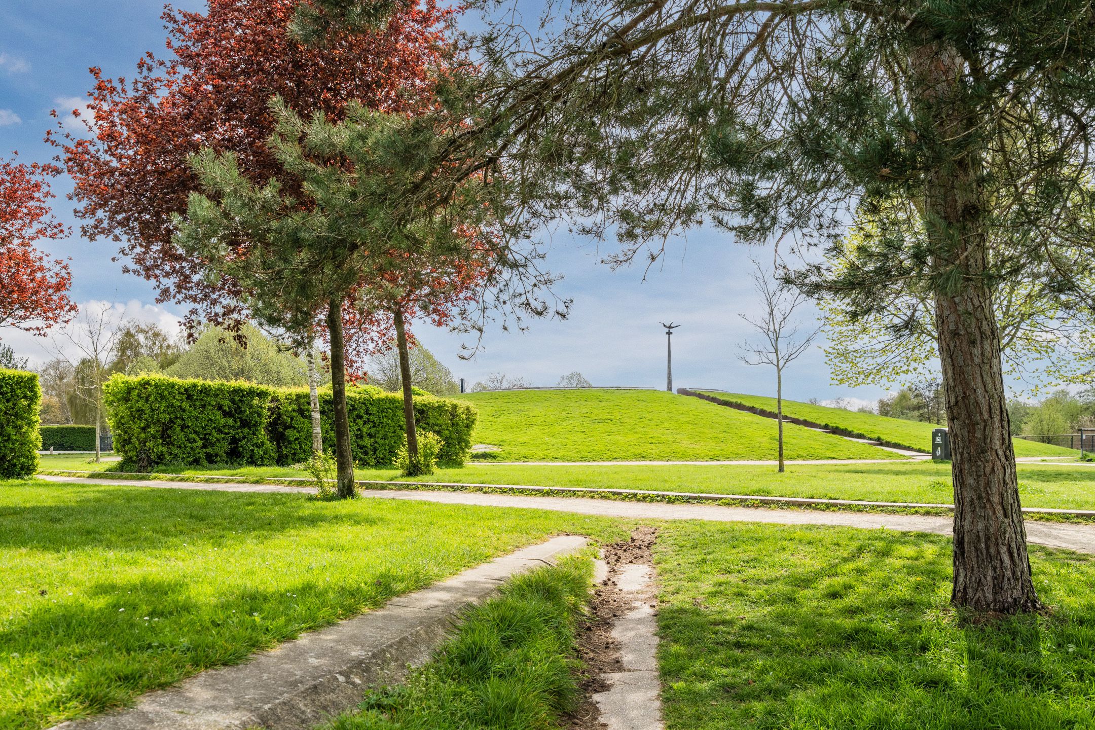 Foto 63 van Van Marumstraat 5