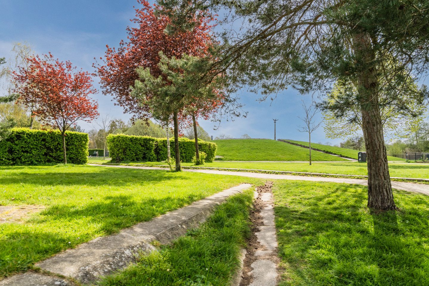 Foto 64 van Van Marumstraat 5