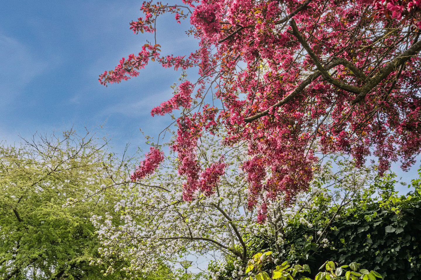 Foto 65 van Van Marumstraat 5