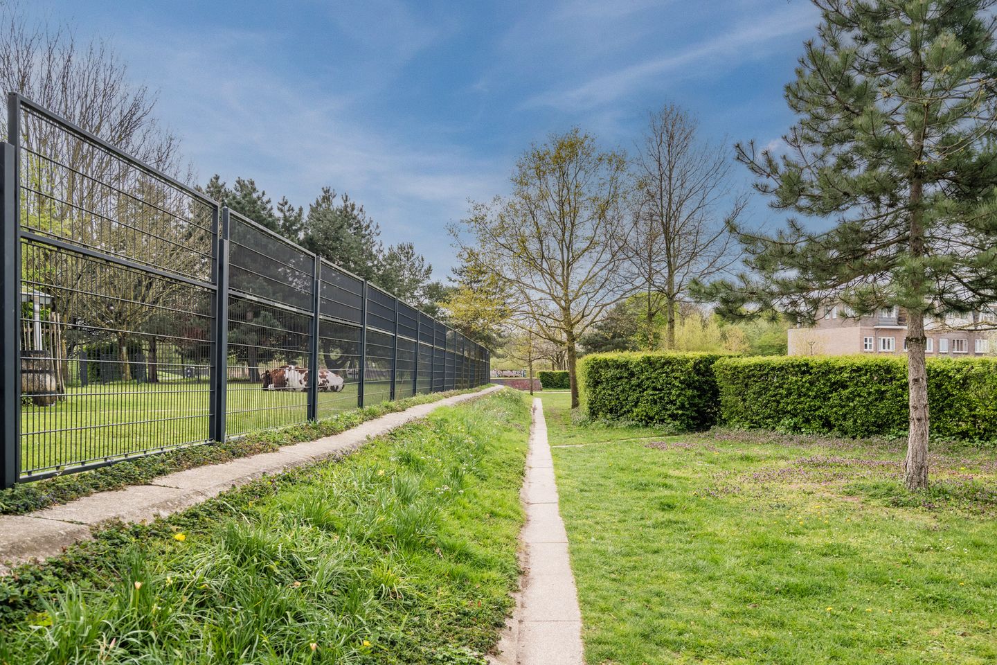 Foto 70 van Van Marumstraat 5