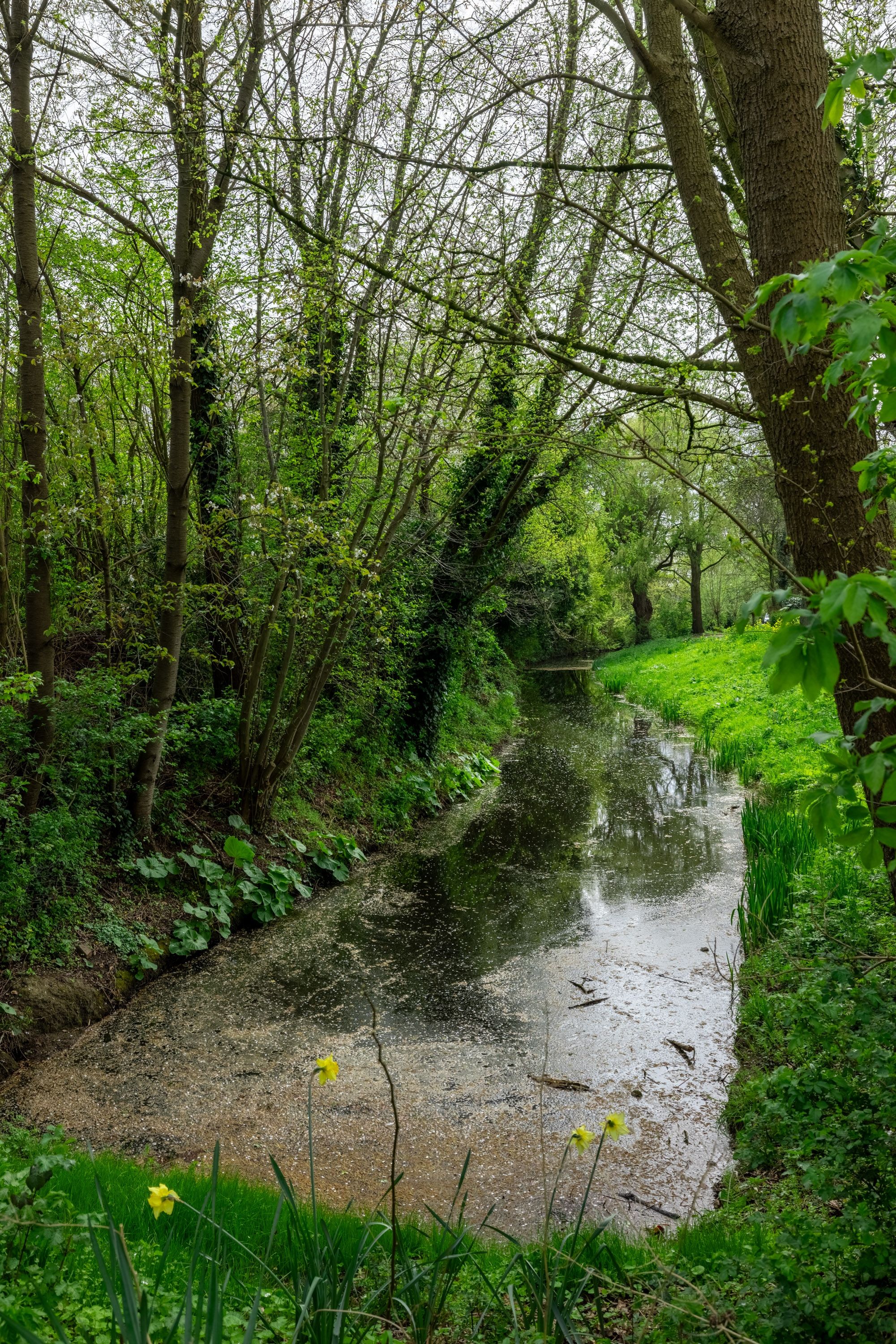 Foto 6 van Weislag 12