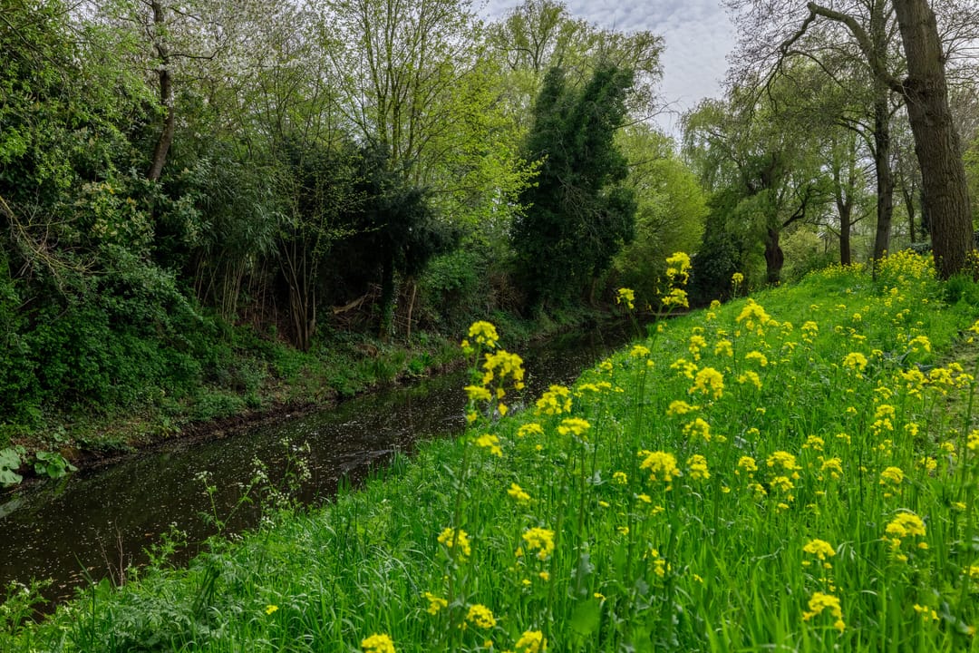 Foto 62 van Weislag 12