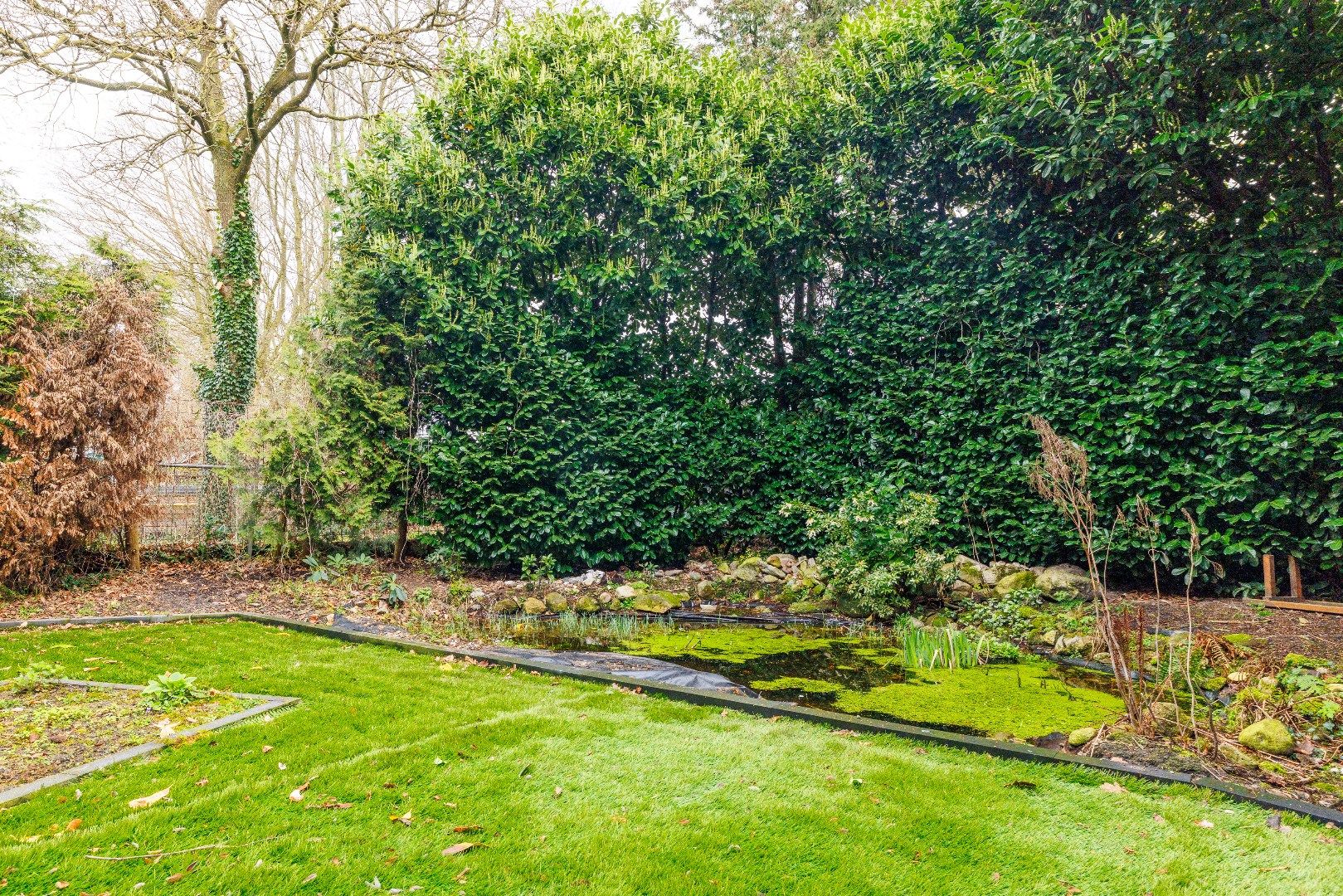 Foto 39 van Hammerstraat 4